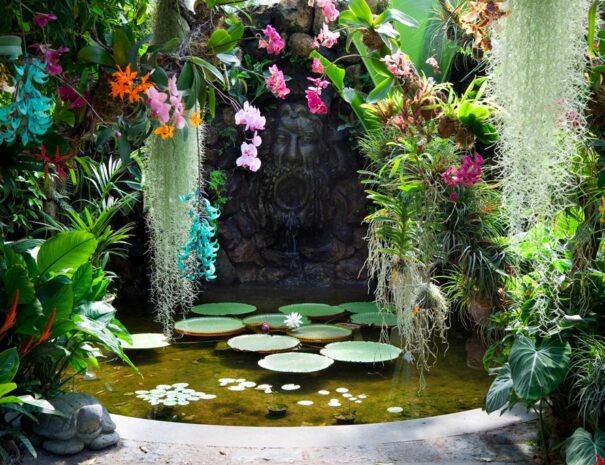 La-Mortella-Gardens-2
