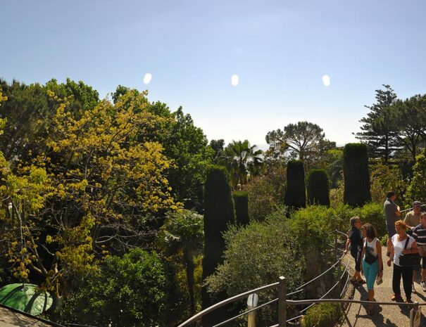 Panorama-1